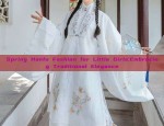 Embracing the New Era:The Latest in Womens Cheongsam Skirts