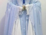 16-Year-Old High School Student Embraces Traditional Elegance in Hanfu Fashion