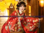Adult Womens Hanfu Fashion in Ancient Times:The 30-Year-Olds Perspective