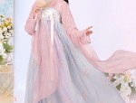 The Flower Goddesss Robe and the Jade Cold Palace:A Tale of Hanfu and Its Enchanting Beauty
