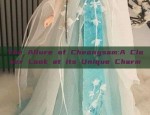 Elegant Qipao and Ethnic Fashion:A Journey into Traditional Chinese Clothing
