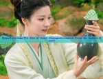 The Enchantment of a Red-Black Hanfu Woman