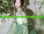 The Rise of Authentic Hanfu at a Cabbage Price:Student Black Market for Quality over Quantity