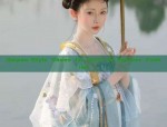 The Splendor of Purple Tang-Style Hanfu:Unveiling the Rich Heritage of Ancient Chinese Clothing