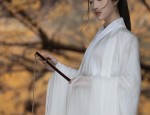 Summer Styles of Hanfu Womens Shoes:A Glance into Traditional Elegance
