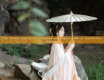 Reinventing the Qipao Dress:Modern Ethnic Fusion of Traditional Chinese Style
