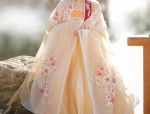 The Intricate Charm of Cheongsams Button Placket