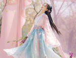 The Splendor of Hanfu Women:Noble Concubines of the Northern and Southern Dynasties