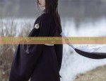 The Evolution of English-Style Hanfu Skirts:A Journey Through Traditional and Modern Elegance