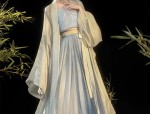 The Enchanting Charm of Cheongsam The Splendor of Chinese Traditional Beauty
