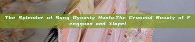 The Splendor of Song Dynasty Hanfu:The Crowned Beauty of Fengguan and Xiapei