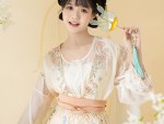 The Splendid Charm of Hanfu Fringes and Tassel Sleeves