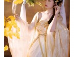The Evolution of Hair Ornaments and Accessories in Traditional Chinese Hanfu Fashion
