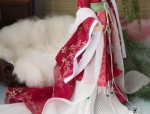 Autumn Fashion for Hanfu Baby:A Guide to Comfort and Style