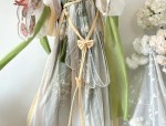 Winter Warmth in Adult-Size Hooded Hanfu Robes for Women A Guide to the Perfect Winter Cape