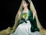 The Complete Guide to Hanfu Hair Accessories:The Crown of Splendor