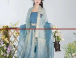 Elite Refinement:The Evolution of Traditional Hanfu for Modern Adult Women