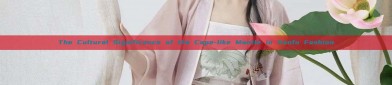 The Cultural Significance of the Cape-like Mantle in Hanfu Fashion