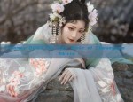 Summer Hanfu Fashion:A Complete Guide to the Chest-Embracing Hanfu Costume