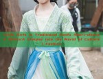 Little Girls in Traditional Hanfu Short-sleeved Shirts:A Glimpse into the World of Cultural Fashion