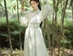 Stylish Autumn Winter Qipao Dress for a Slimming Look
