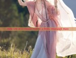 Elegance in a Night:The Revival of Hanfu with Xiyishengge