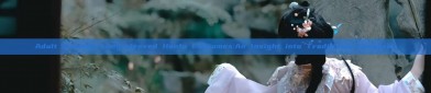 Adult Womens Long-sleeved Hanfu Costumes:An Insight into Traditional Elegance