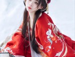 A Guide to Traditional Hair Ornaments for Girls in Ming-Style Hanfu Costumes