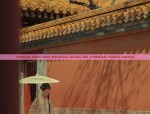 The Charm of a Summer Cheongsam in Purple