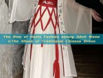 The Revival of Hanfu:Embracing Traditional Chinese Culture in the Pursuit of a Retired Life