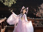The Enchantment of a Red Cheongsam Dress