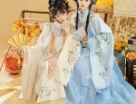 Embracing Modernity in a New Chinese-Style Cheongsam with Fluttering Sleeve Details