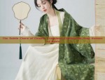 The Enigma of Black Cheongsam Shoes:A Blend of Tradition and Modernity