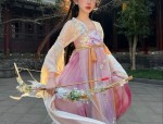 Modernizing the Cheongsam:A Youthful Version for Teen Girls with Short-Length Sleeves