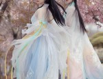 The Authentic Set of Dragon Empress Hanfu:Unveiling the Splendor of Traditional Chinese Elegance