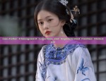 The Splendor of Ming-Style Horseface Skirt:A Fashionable Bargain at a Babbage Price