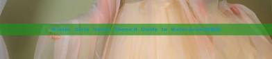 Winter Girls Hanfu Shoes:A Guide to Waterproof汉服鞋