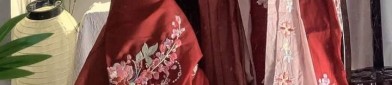 Zhonglings Hanfu Style in the Song Dynasty:A Journey into Traditional Chinese Elegance