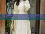 The Enchanting World of Xian Xian Qixia Chuan:A Journey into the Traditional Chinese Costume