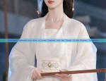 Affordable Splendor:The Rise of Hanfu Fashion with the Theme of the Phoenix Ascension