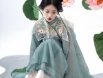 Wang Zhaojuns Splendid Beauty in the Flowing Robes of the Phoenix