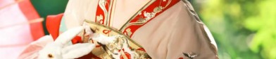 White Deer Style Hanfu:Exploring the Allure of Traditional Chinese Fashion