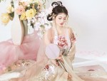 The Splendor of the Seven Princesses in Traditional Hanfu Fashion