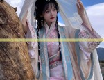 The Splendor of Hanfu with a Cape:Unveiling the Traditional Elegance of Chinese Costume
