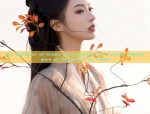 The Splendor of Hanfu Hairpins and Tassel Accessories