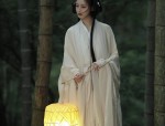 Traditional Chinese Style:The Charm of Cheongsam and Horseface Skirt