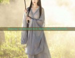 Exploring the World of Girls Hanfu Fake Plait Hairstyles