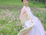 Charming Cloud Silk:A Womans Cheongsam with Delicate Cloud-Inspired Pattern and Qipao Collar