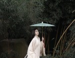 The Cultural Splendor of Cloud-肩 Scholar Gowns and Horseface Skirts in Traditional Chinese Fashion