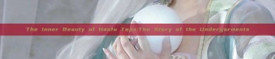 The Inner Beauty of Hanfu Tops:The Story of the Undergarments